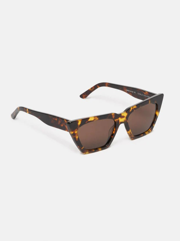 Modan Tortise Sunglasses - Carla Colour