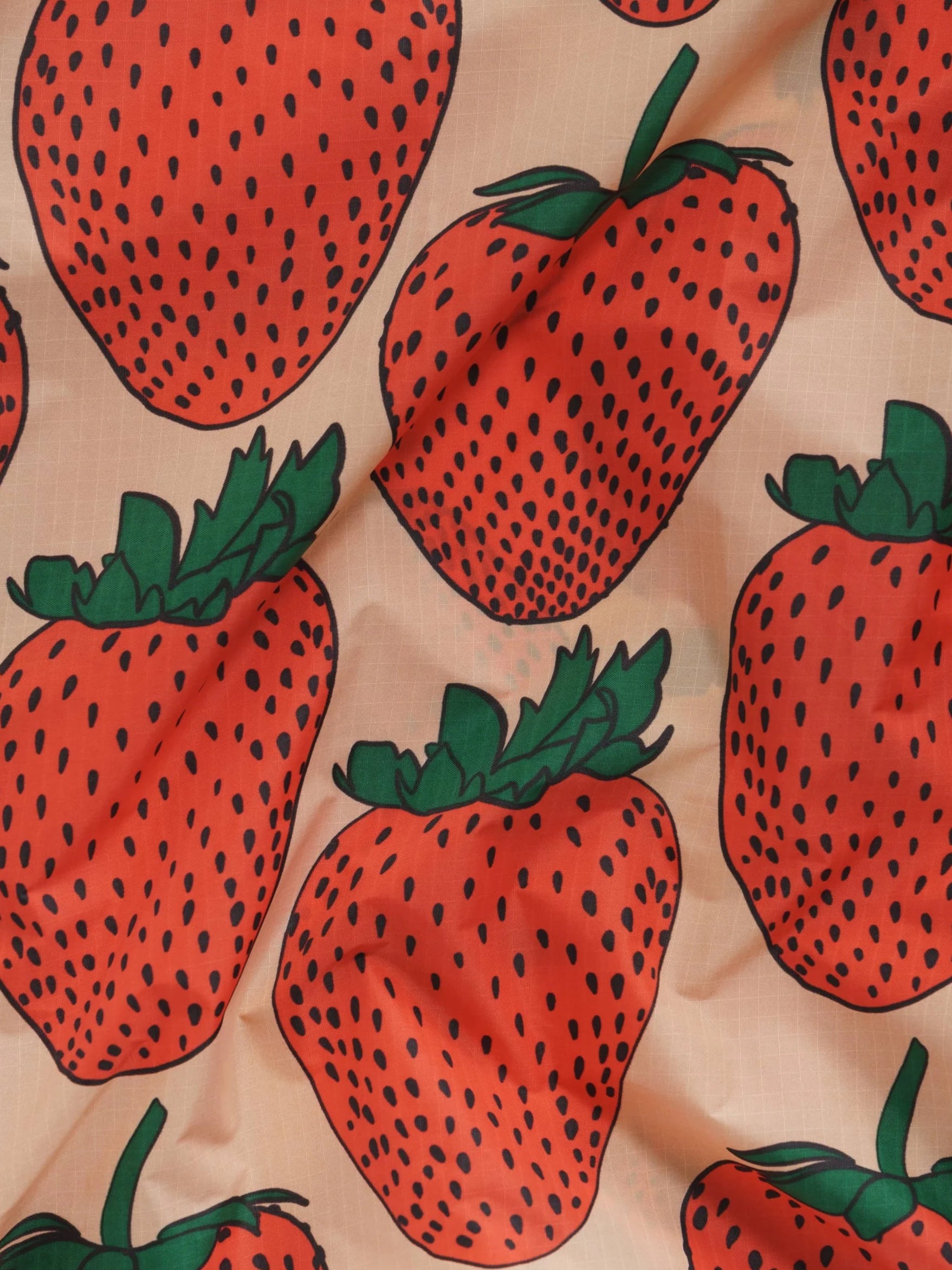 Strawberry Baggu