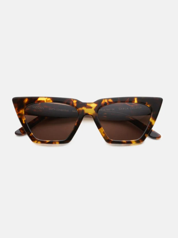 Modan Tortise Sunglasses - Carla Colour