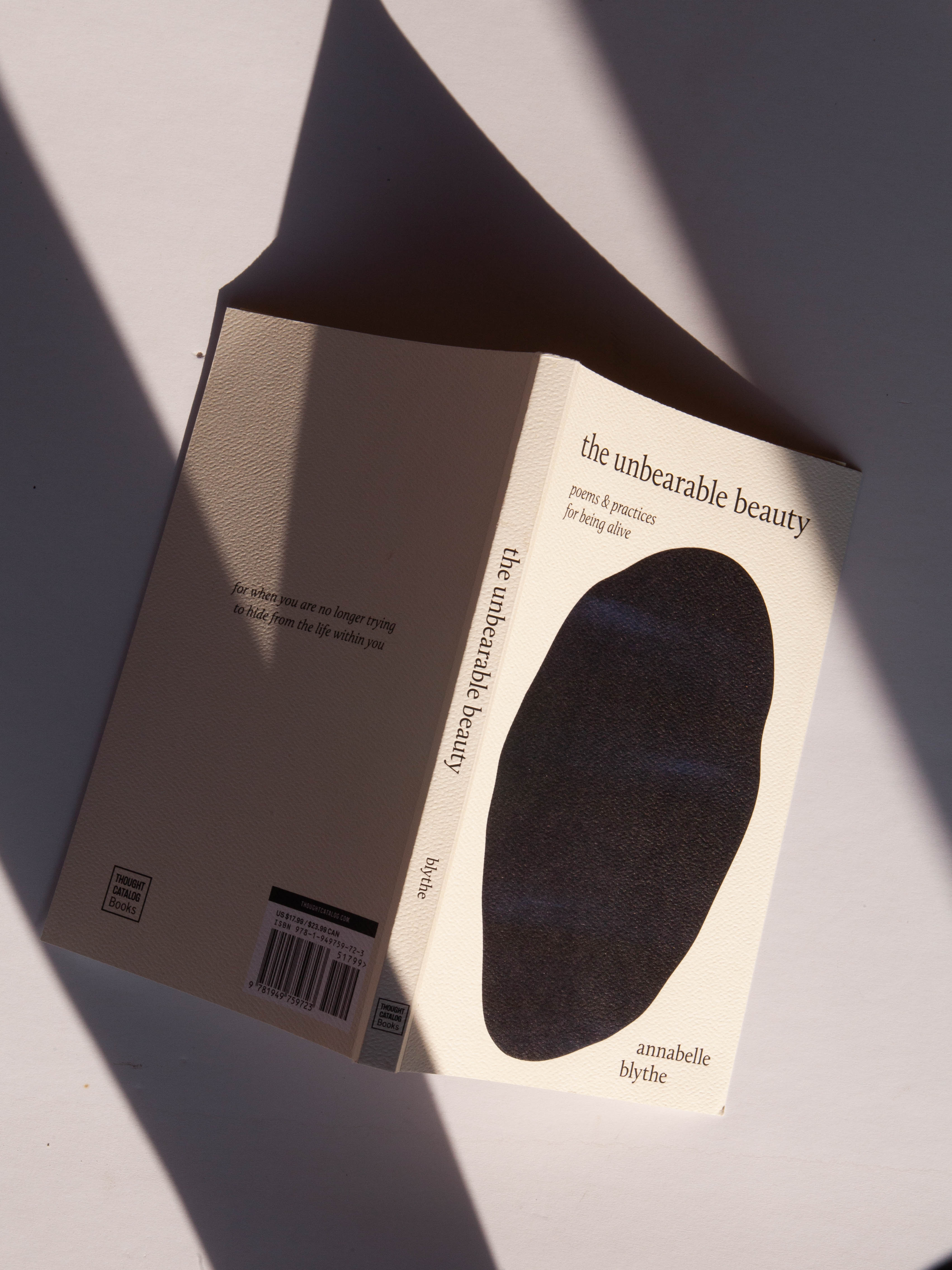 The Unbearable Beauty — Poems and Practices for Being Alive