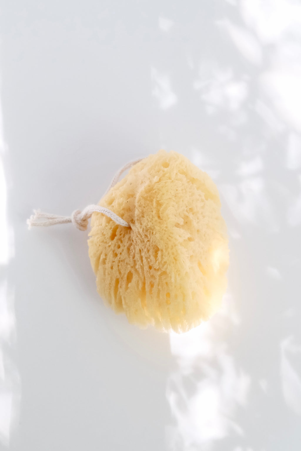 Natural Sea Sponge